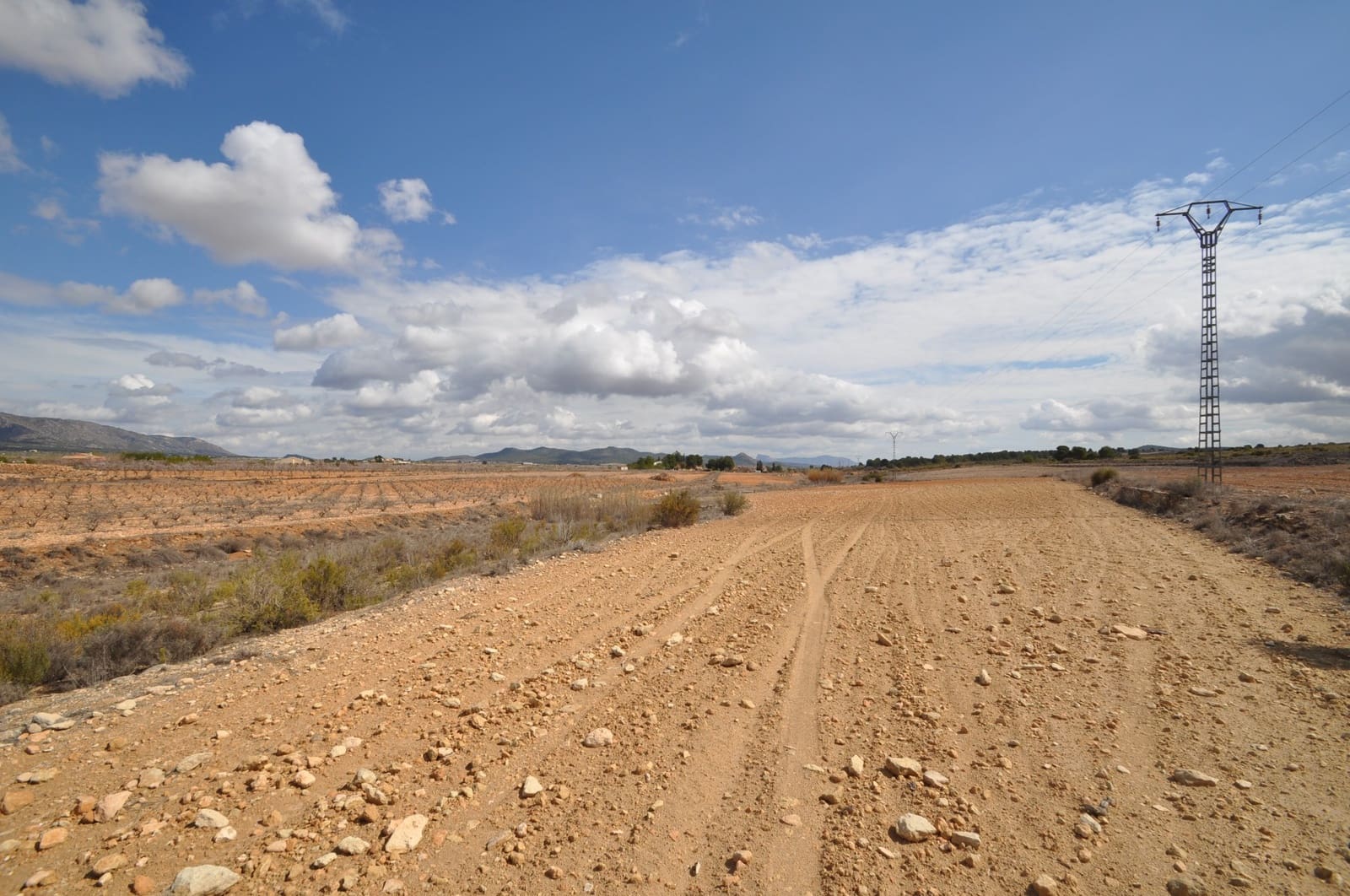 Terreno/Finca Rústica en Pinoso en venta - 44.995 € (Ref: 8293528)