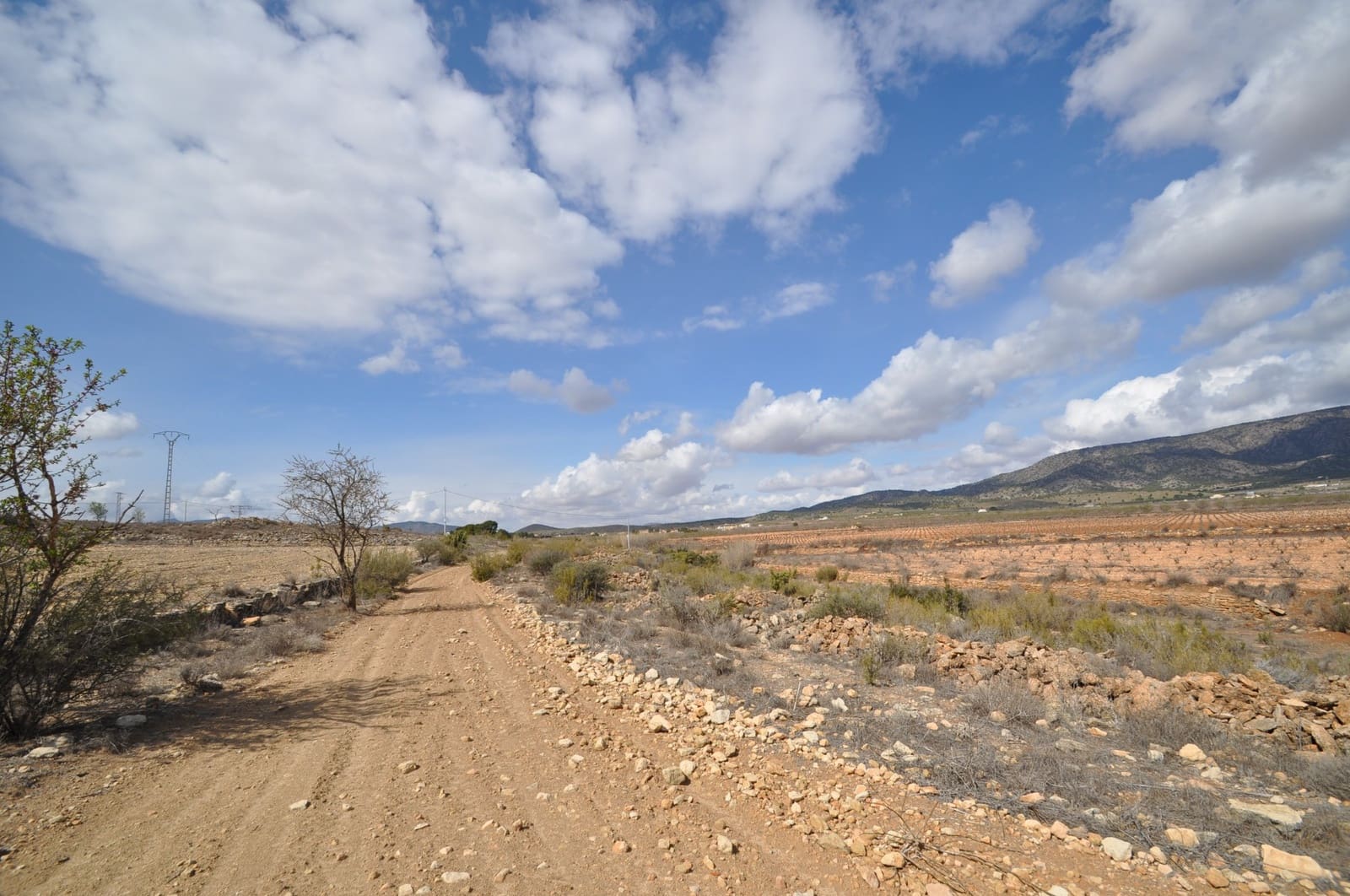 Terreno/Finca Rústica en Pinoso en venta - 44.995 € (Ref: 8293528)