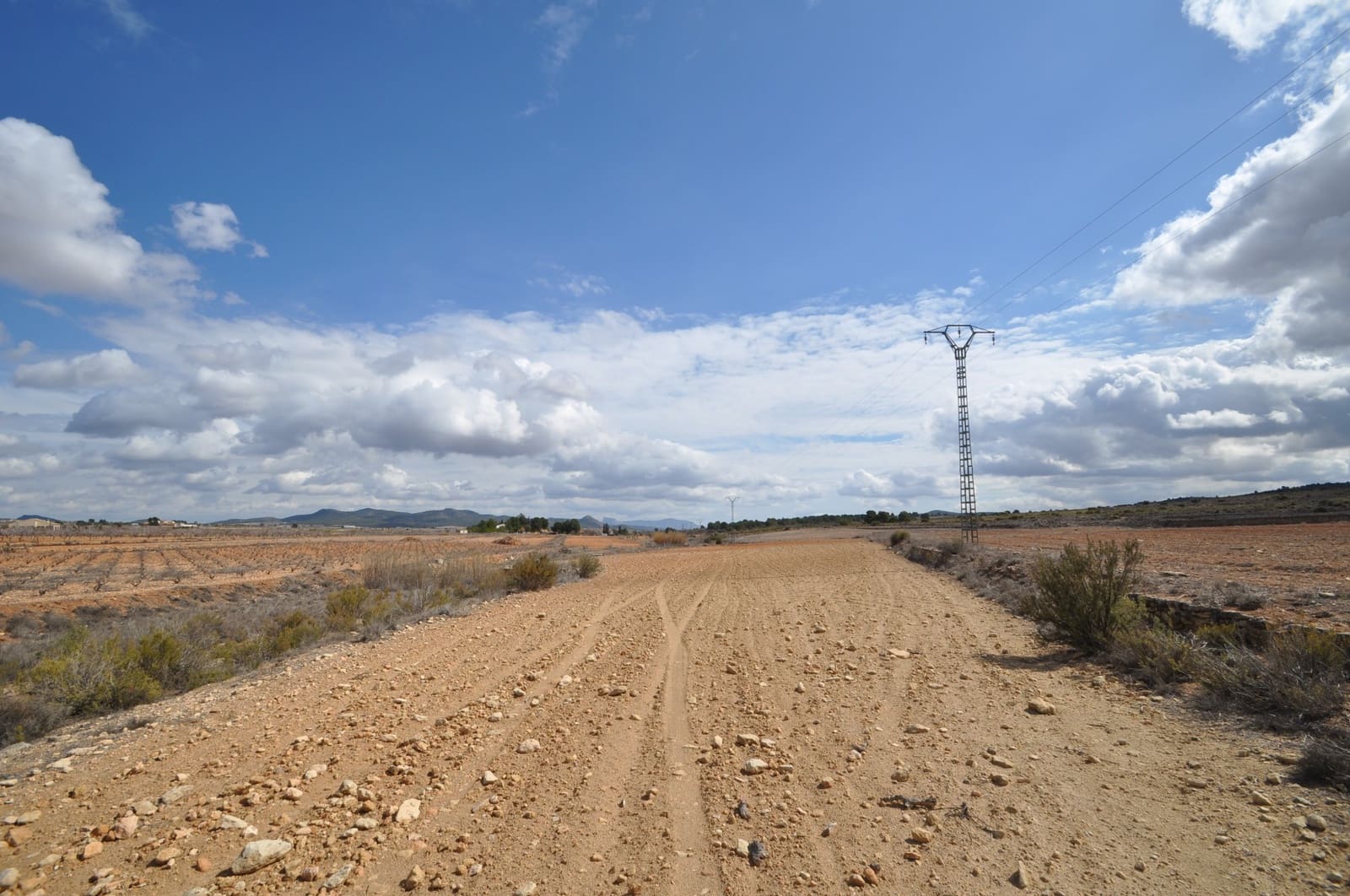 Terreno/Finca Rústica en Pinoso en venta - 44.995 € (Ref: 8293528)