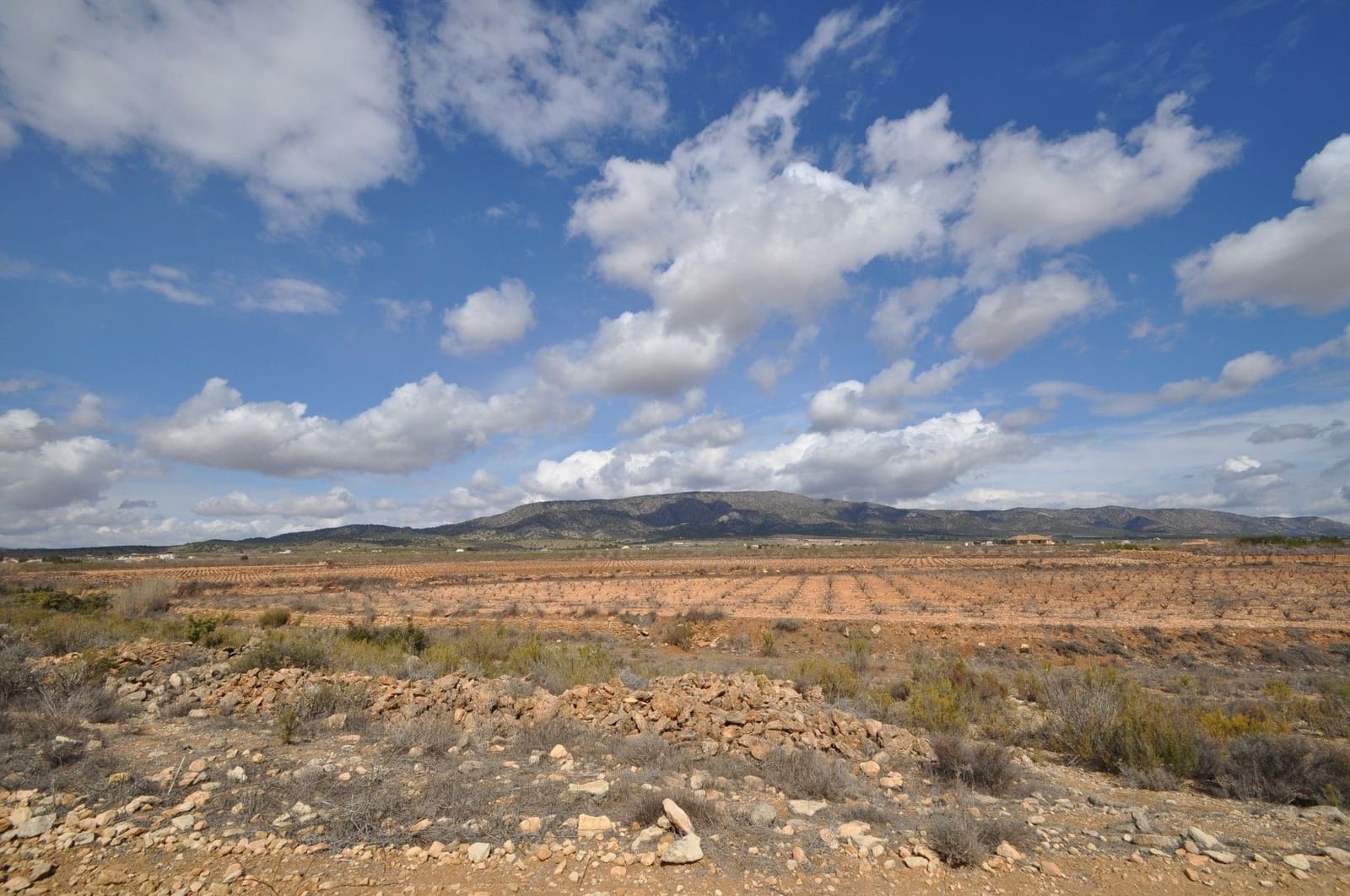 Undeveloped Land for sale in Pinoso - € 44,995 (Ref: 8293528)