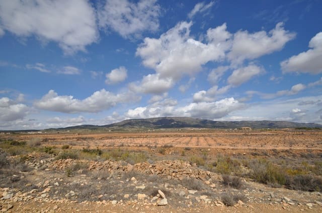 Mark till salu i Lel, Pinoso - 44 995 € (Ref: 8293528)