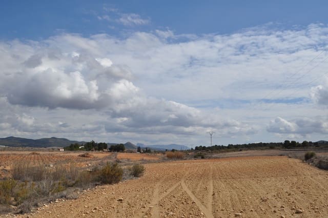 Mark till salu i Lel, Pinoso - 44 995 € (Ref: 8293528)