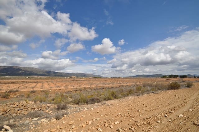 Mark till salu i Lel, Pinoso - 44 995 € (Ref: 8293528)