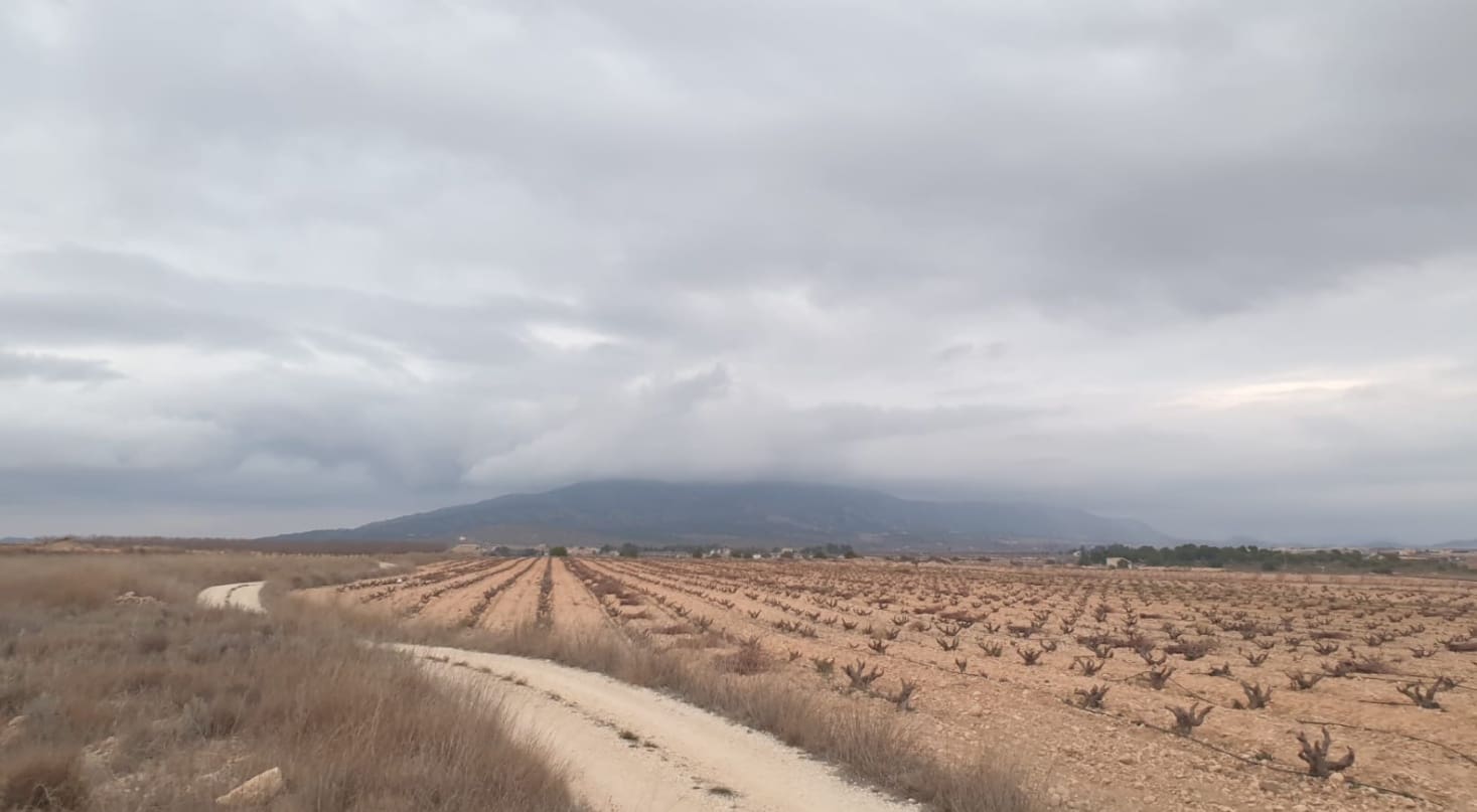 Ubebygd land til salgs i Pinoso - € 30 995 (Ref: 8293531)