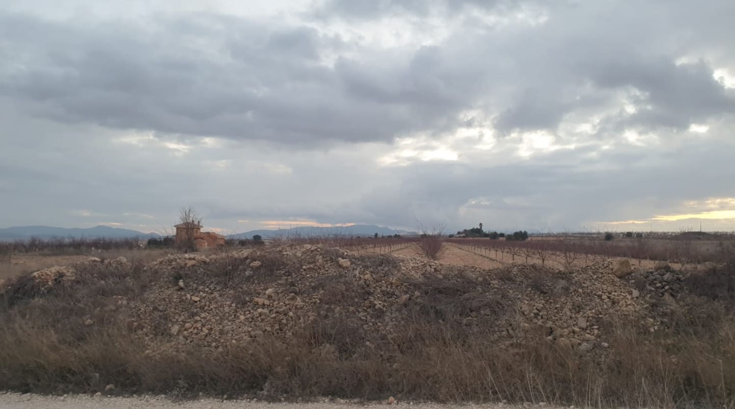 Undeveloped Land for sale in Pinoso - € 30,995 (Ref: 8293531)