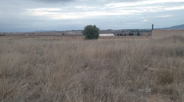 Grond te koop in Pinoso - € 56.000 (Ref: 8293533)
