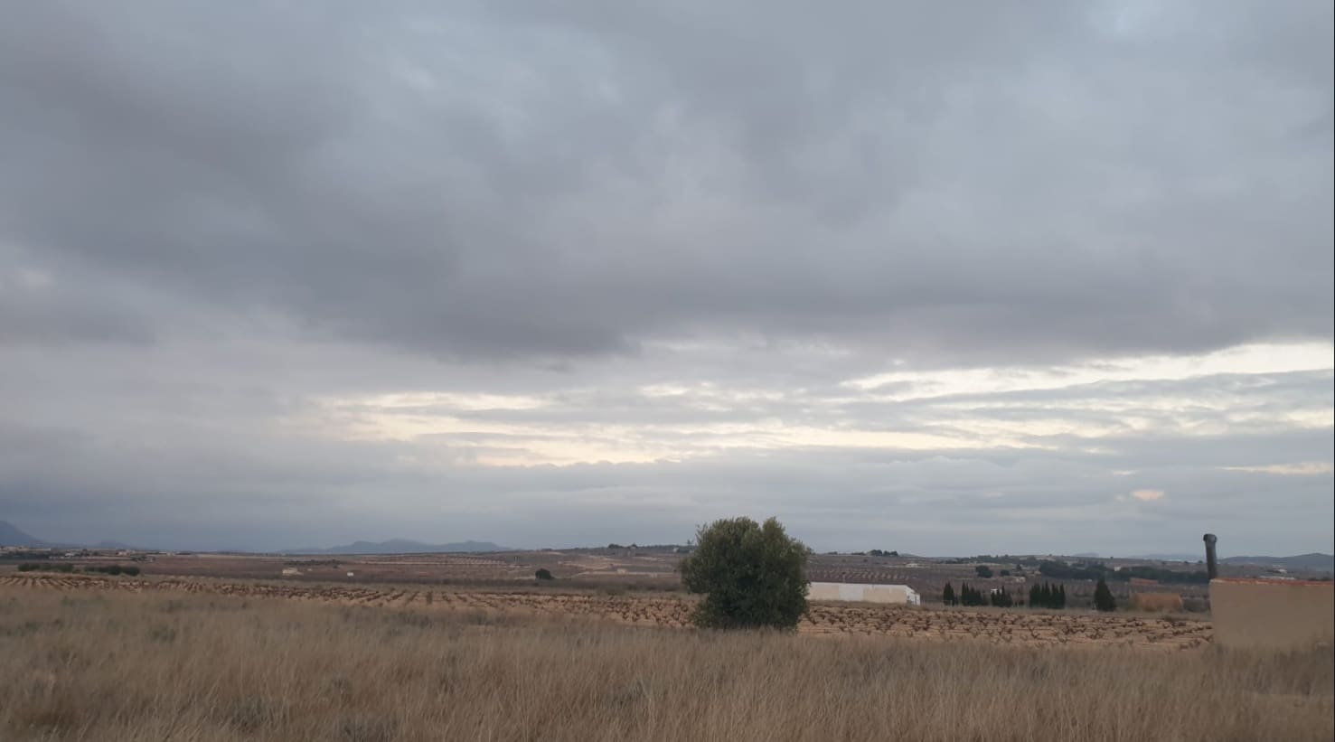 Undeveloped Land for sale in Pinoso - € 56,000 (Ref: 8293533)