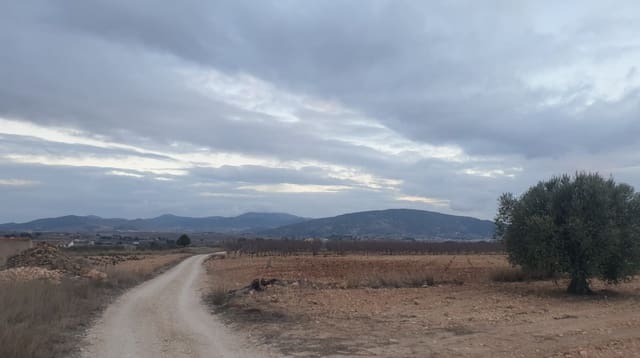 Mark till salu i Pinoso - 56 000 € (Ref: 8293533)