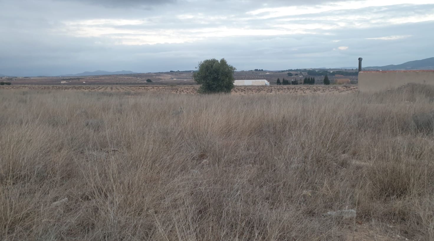 Undeveloped Land for sale in Pinoso - € 56,000 (Ref: 8293533)