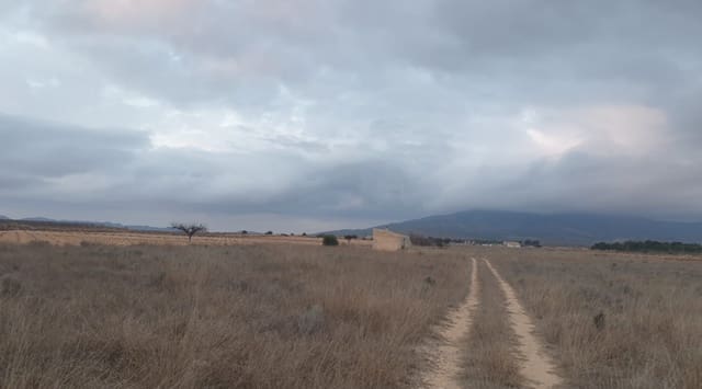 Undeveloped Land for sale in Pinoso - € 56,000 (Ref: 8293533)