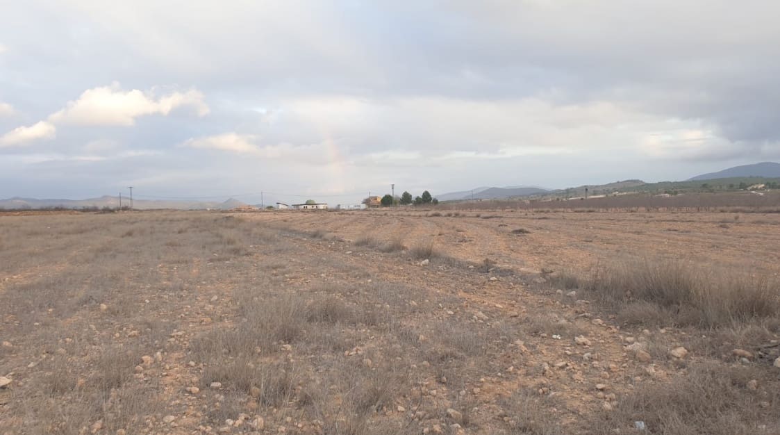 Terreno/Finca Rústica en Pinoso en venta - 69.995 € (Ref: 8293534)