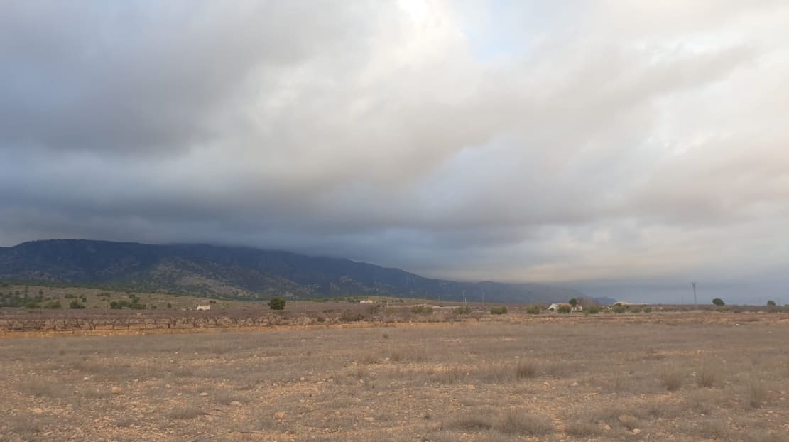 Terreno/Finca Rústica en Pinoso en venta - 69.995 € (Ref: 8293534)