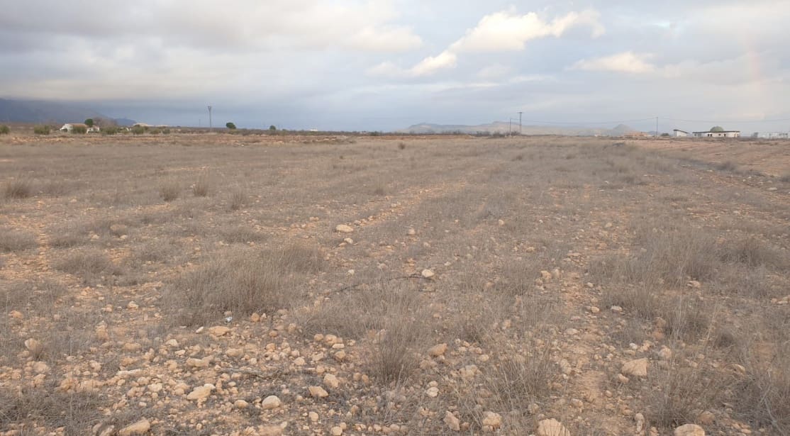 Undeveloped Land for sale in Pinoso - € 69,995 (Ref: 8293534)