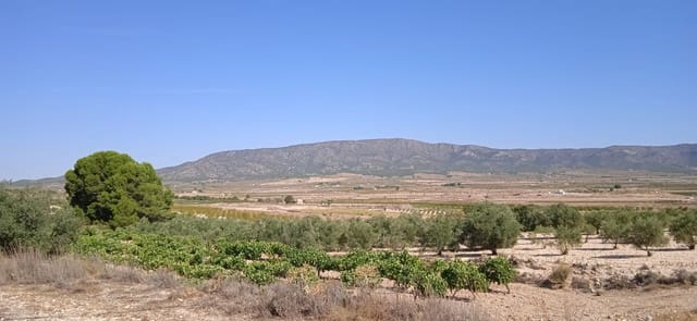 Terre non Aménagée à vendre à Ubeda, Pinoso - 43 995 € (Ref: 8293537)
