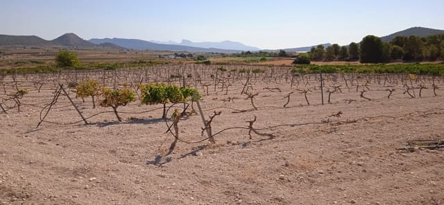 Terre non Aménagée à vendre à Ubeda, Pinoso - 43 995 € (Ref: 8293537)