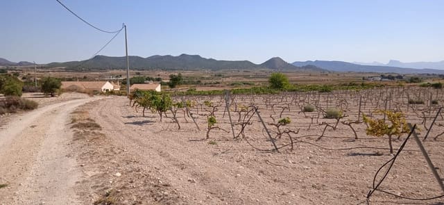 Terre non Aménagée à vendre à Ubeda, Pinoso - 43 995 € (Ref: 8293537)