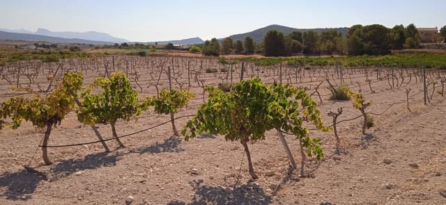 Terre non Aménagée à vendre à Ubeda, Pinoso - 43 995 € (Ref: 8293537)