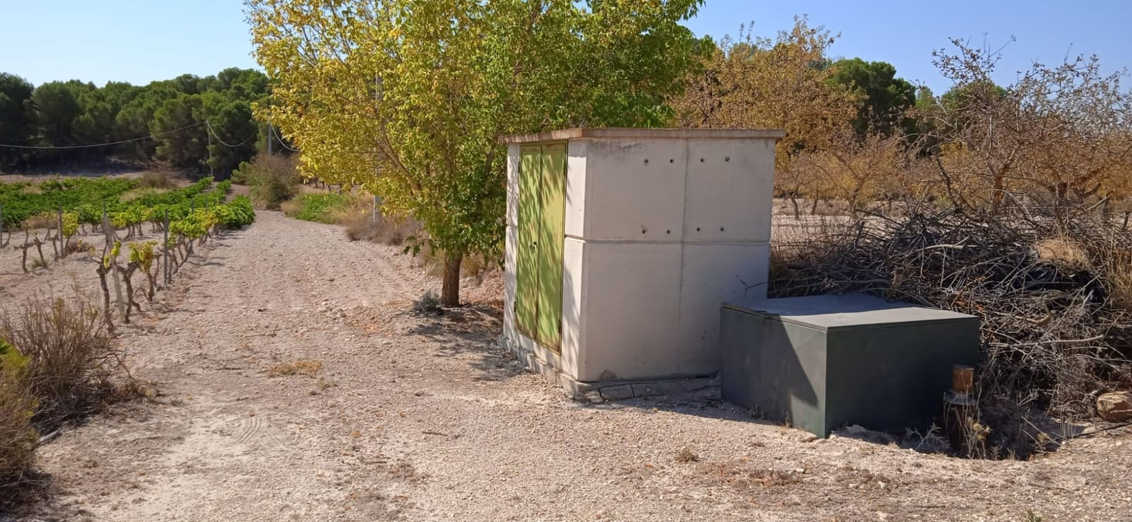 Landgrundstück zu verkaufen in Pinoso - 43.995 € (Ref: 8293537)