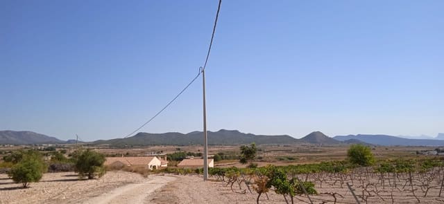 Terre non Aménagée à vendre à Ubeda, Pinoso - 43 995 € (Ref: 8293537)