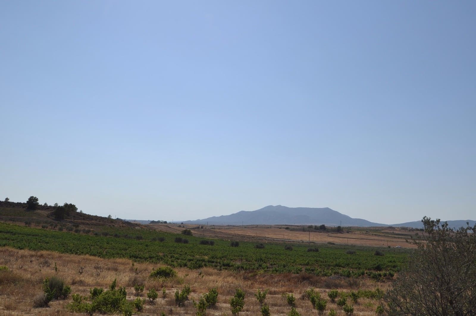 Undeveloped Land for sale in Pinoso - € 12,995 (Ref: 8350031)
