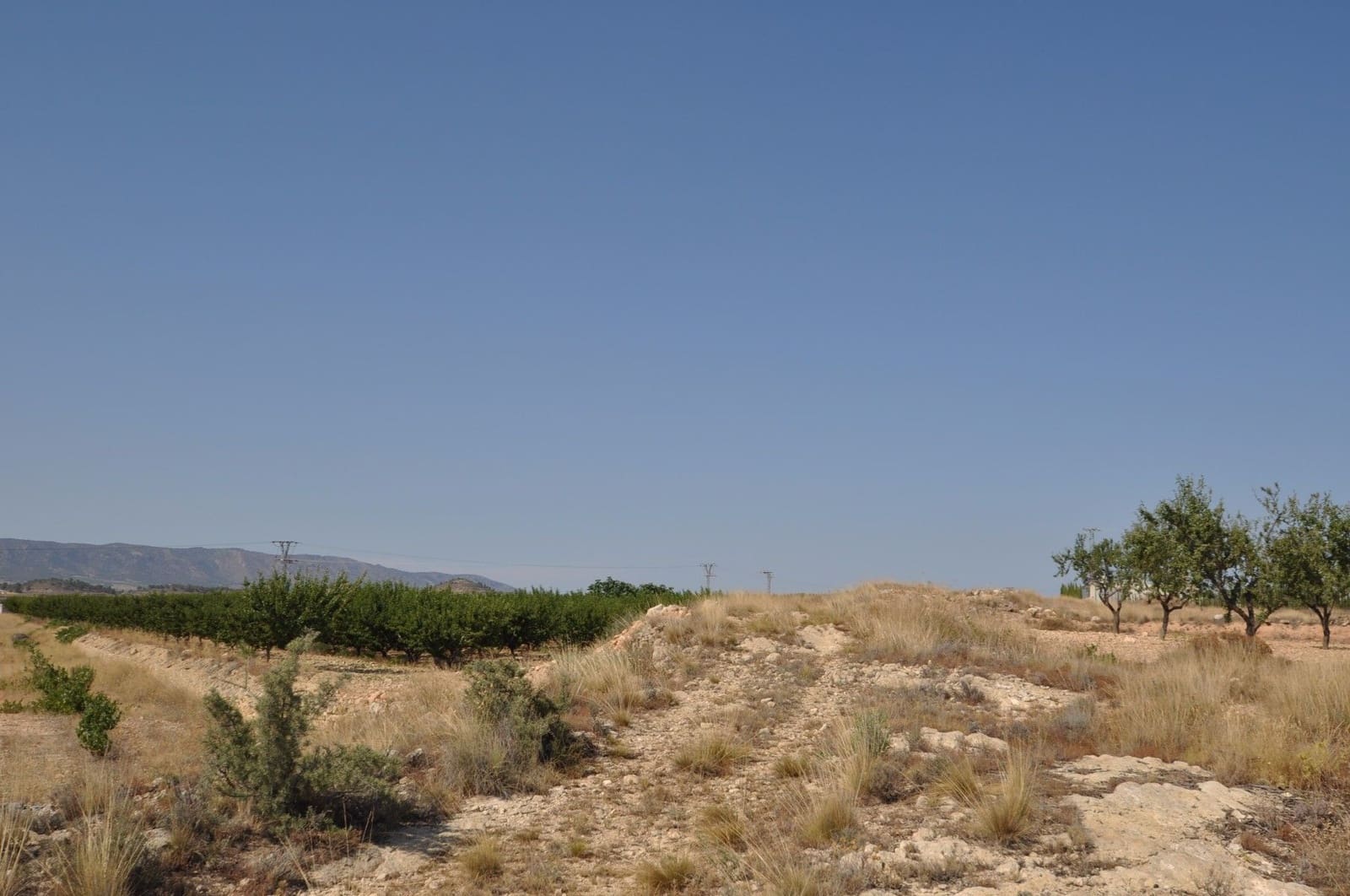 Undeveloped Land for sale in Pinoso - € 12,995 (Ref: 8350031)
