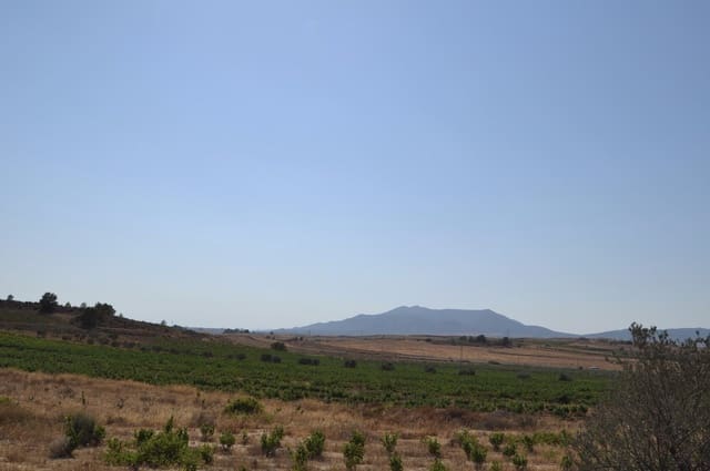 Mark till salu i Pinoso - 12 995 € (Ref: 8350031)
