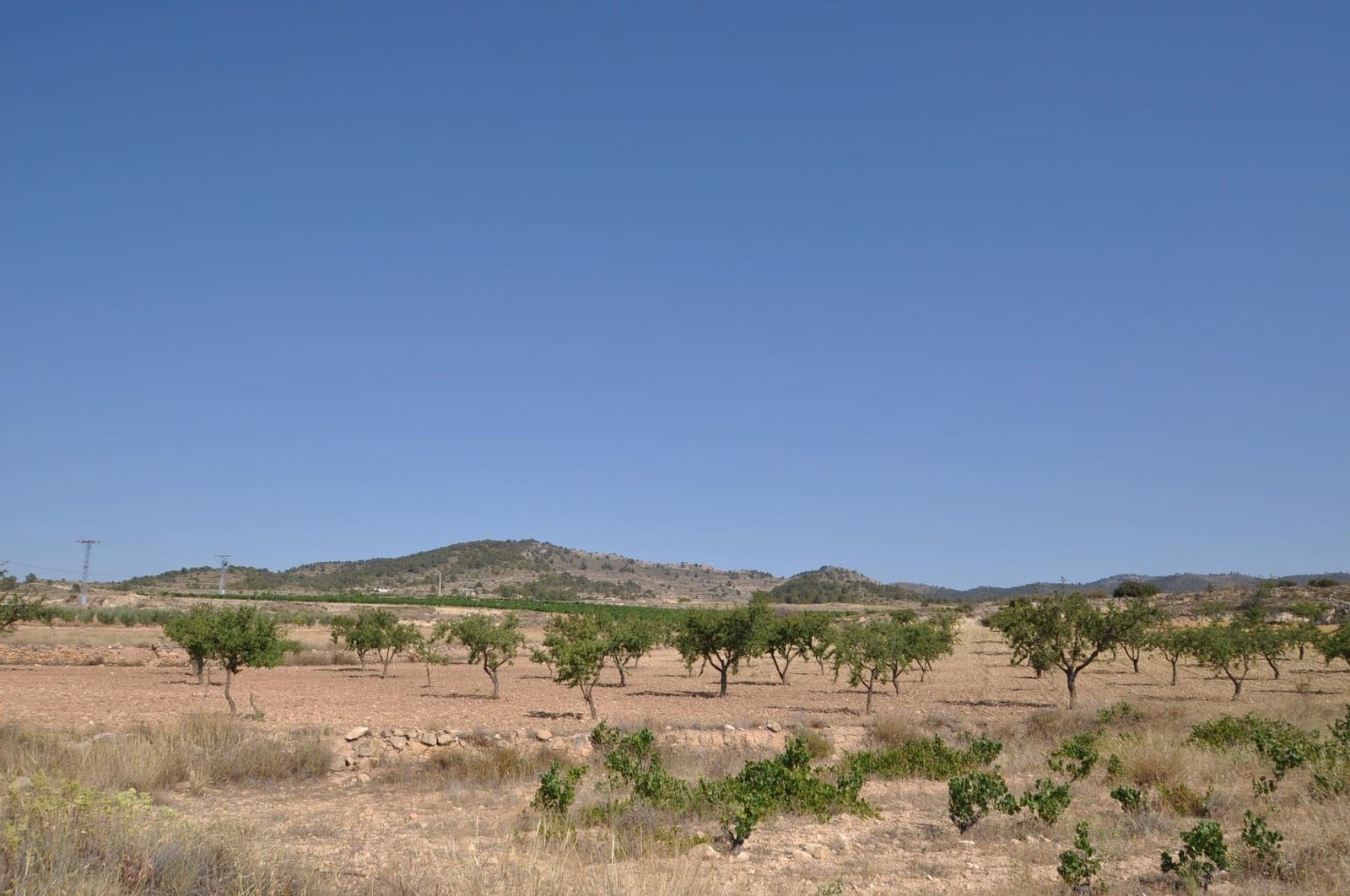 Undeveloped Land for sale in Pinoso - € 12,995 (Ref: 8350031)
