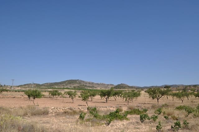 Mark till salu i Pinoso - 12 995 € (Ref: 8350031)