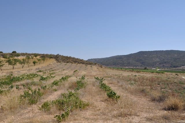 Mark till salu i Pinoso - 12 995 € (Ref: 8350031)