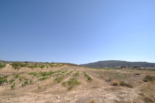 Mark till salu i Pinoso - 12 995 € (Ref: 8350031)