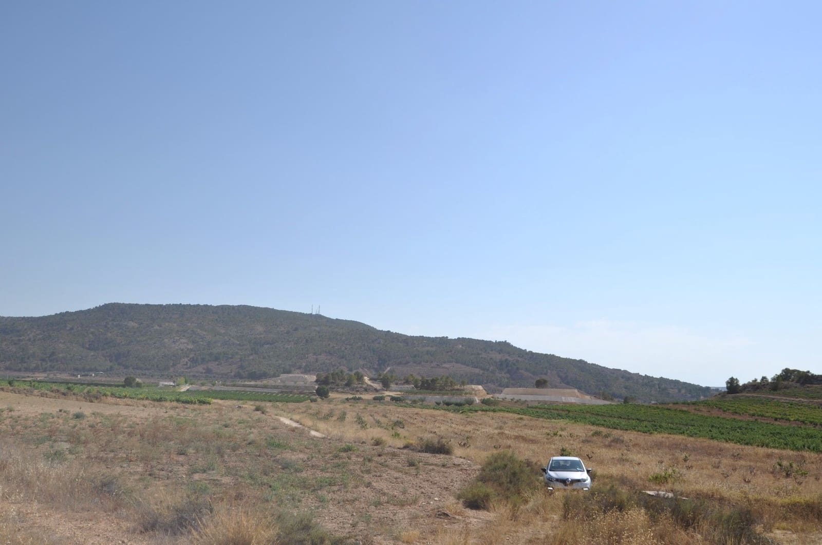Undeveloped Land for sale in Pinoso - € 12,995 (Ref: 8350031)