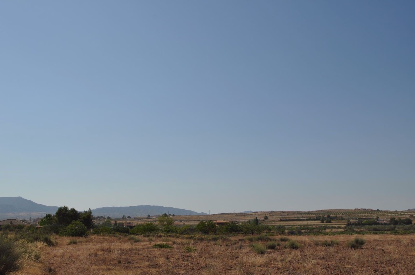 Undeveloped Land for sale in Pinoso - € 12,995 (Ref: 8350032)