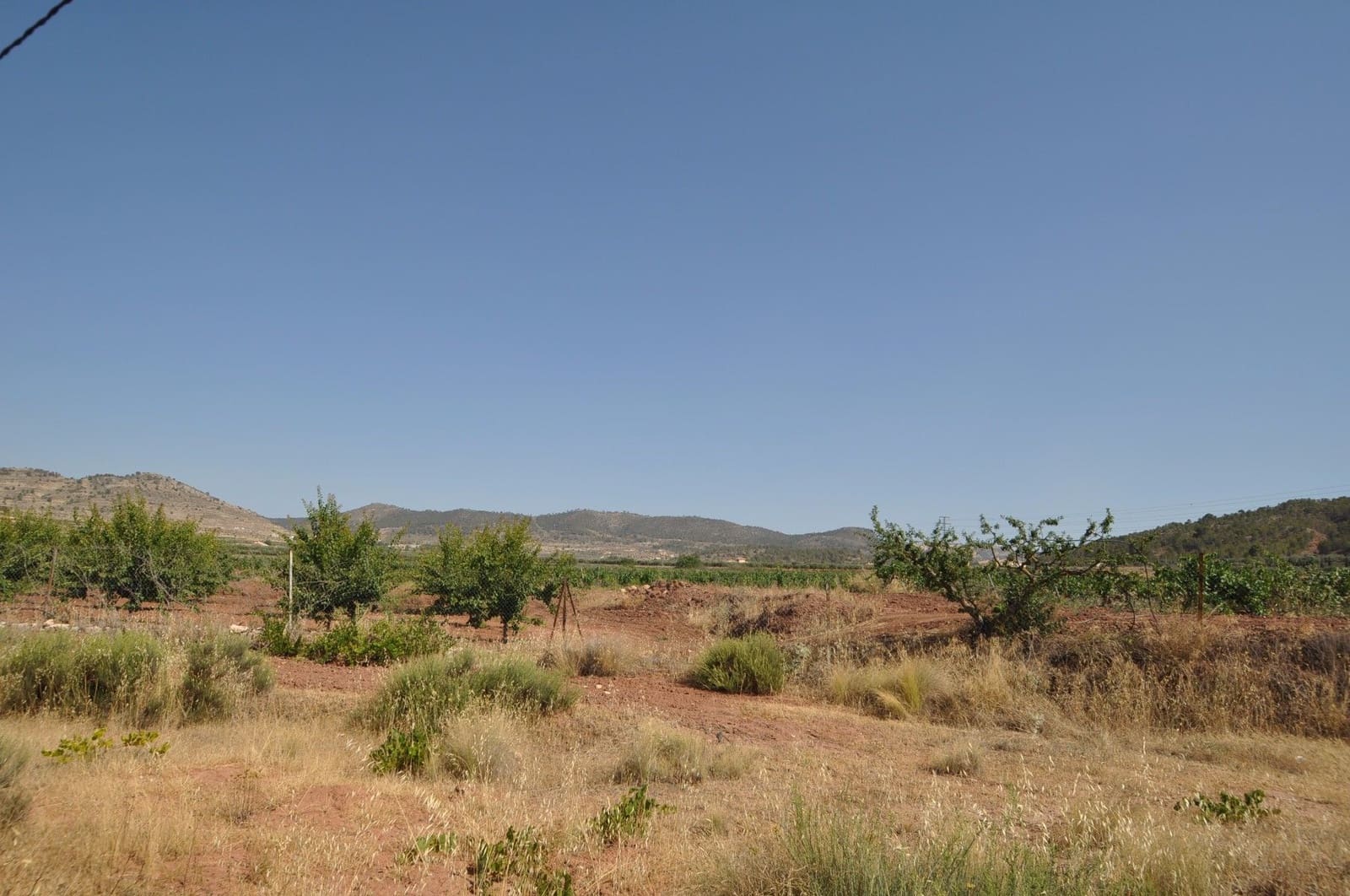 Undeveloped Land for sale in Pinoso - € 12,995 (Ref: 8350032)