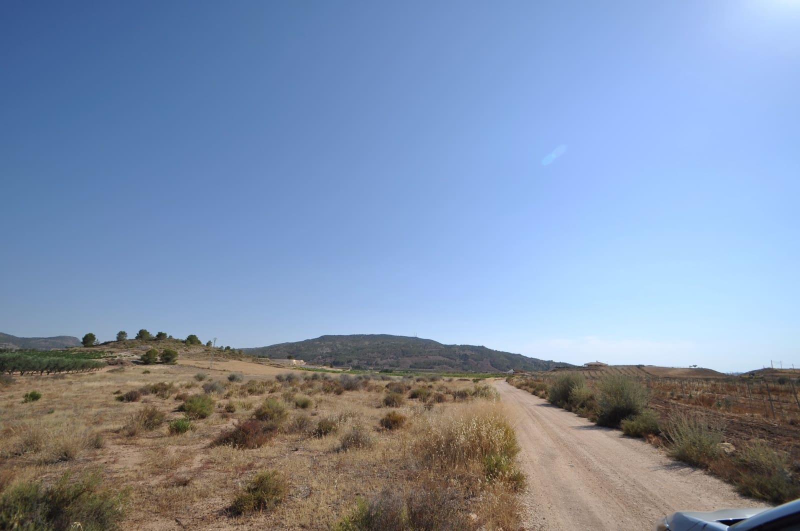 Ubebygd land til salgs i Pinoso - € 14 995 (Ref: 8350033)