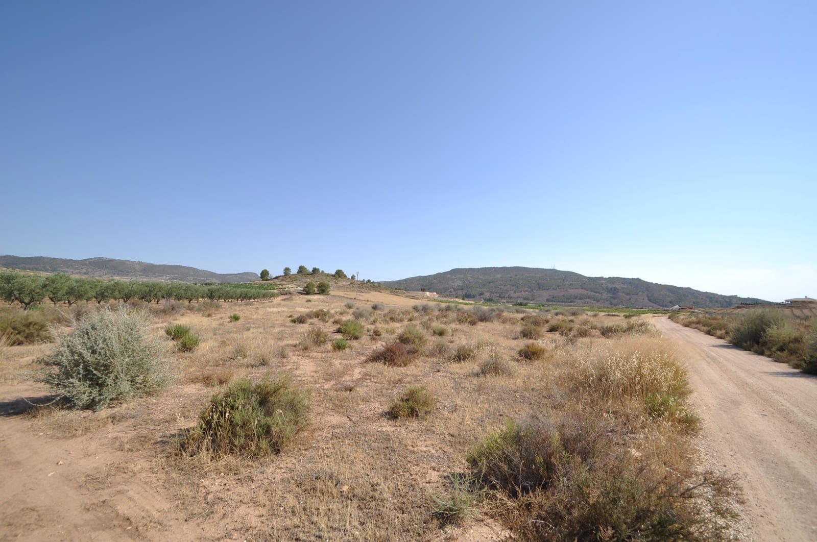 Ubebygd land til salgs i Pinoso - € 14 995 (Ref: 8350033)