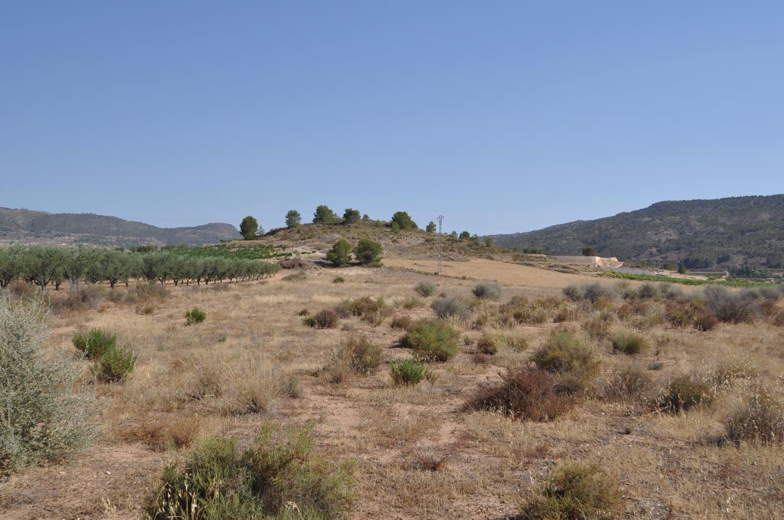 Ubebygd land til salgs i Pinoso - € 14 995 (Ref: 8350033)