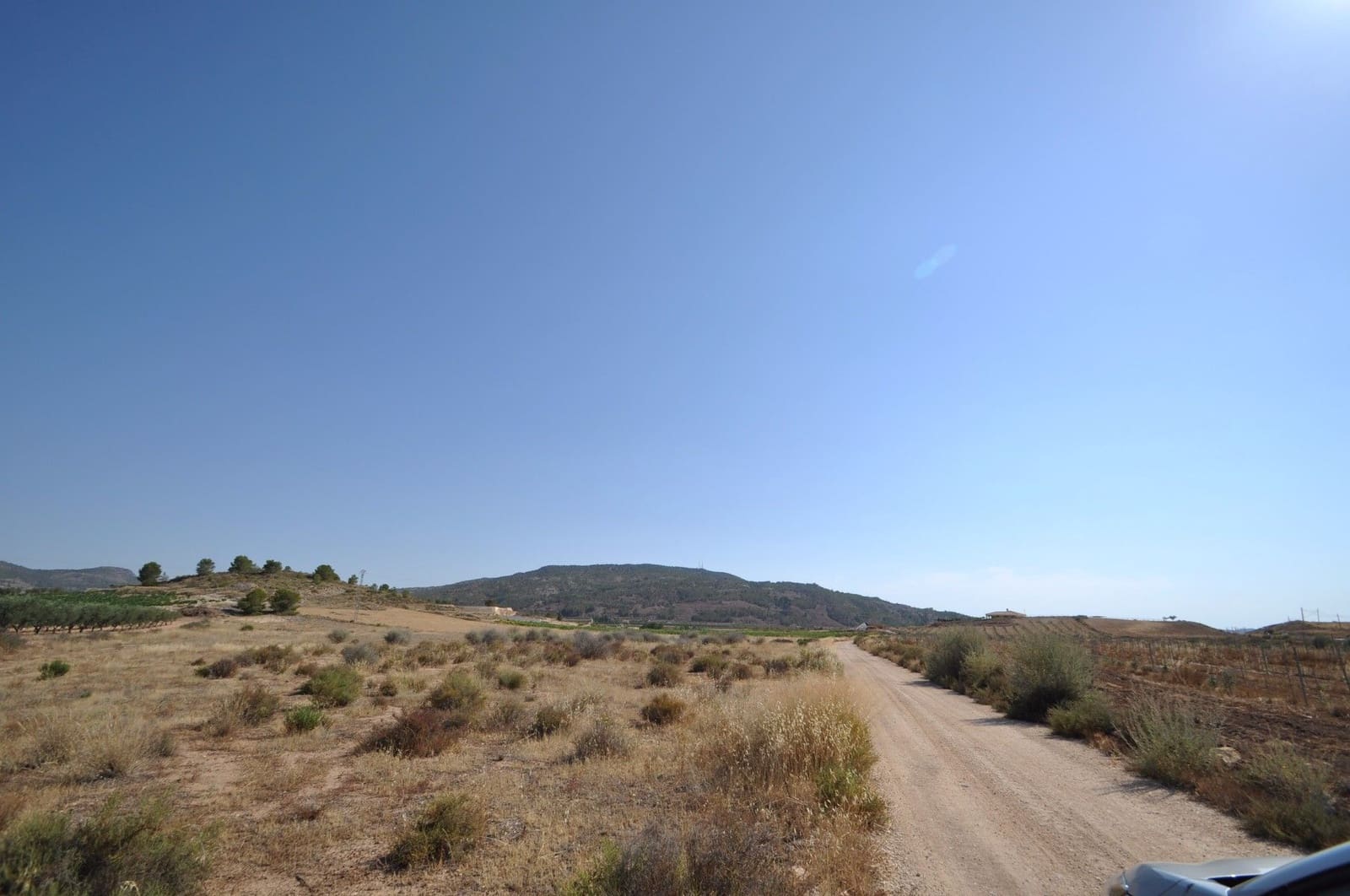 Undeveloped Land for sale in Pinoso - € 14,995 (Ref: 8350033)