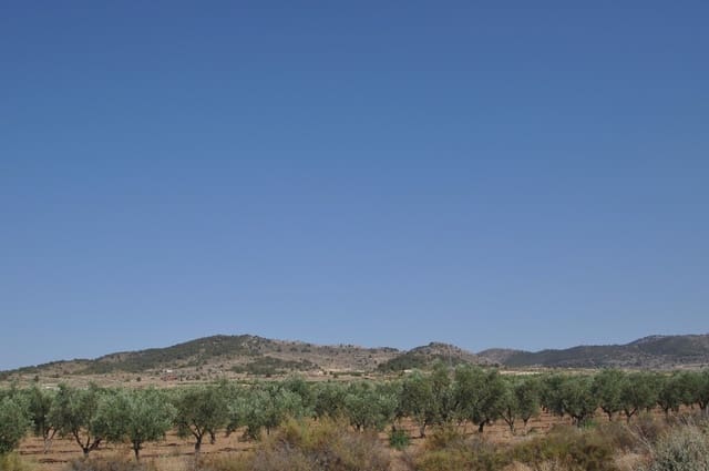 Mark till salu i Pinoso - 14 995 € (Ref: 8350033)