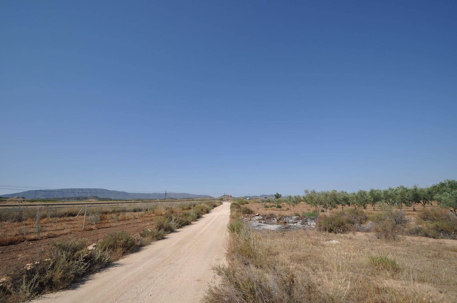 Undeveloped Land for sale in Pinoso - € 14,995 (Ref: 8350033)