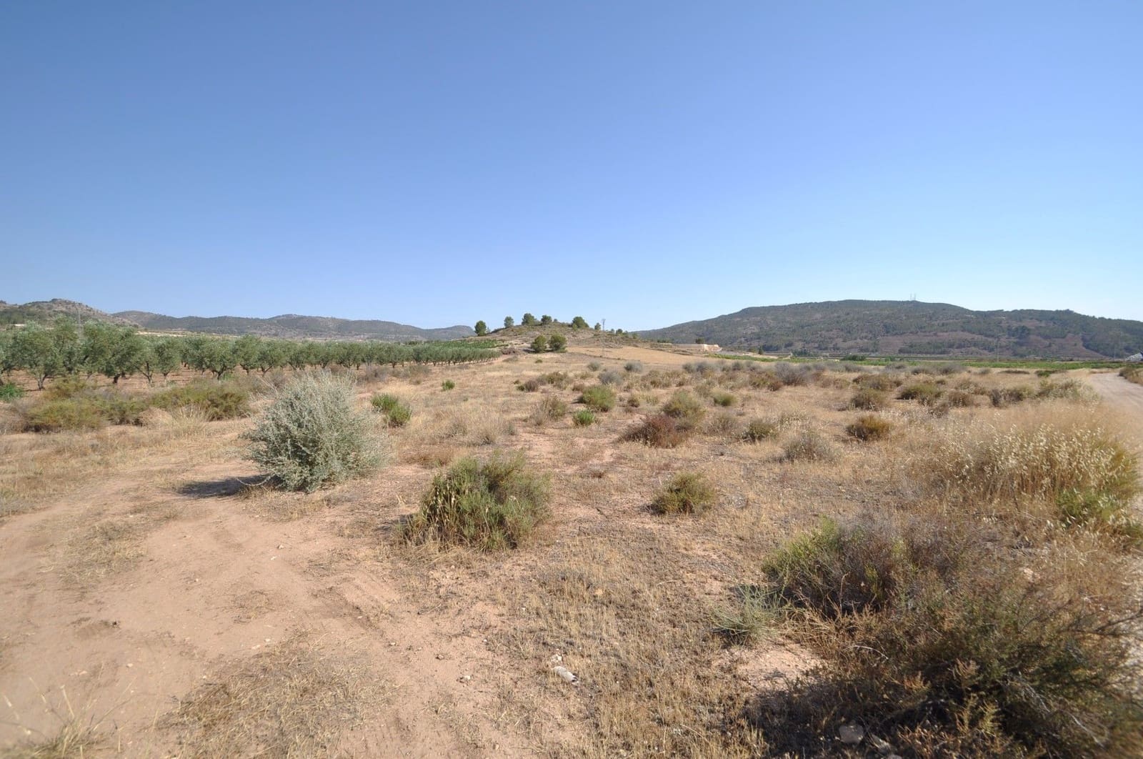 Undeveloped Land for sale in Pinoso - € 14,995 (Ref: 8350033)