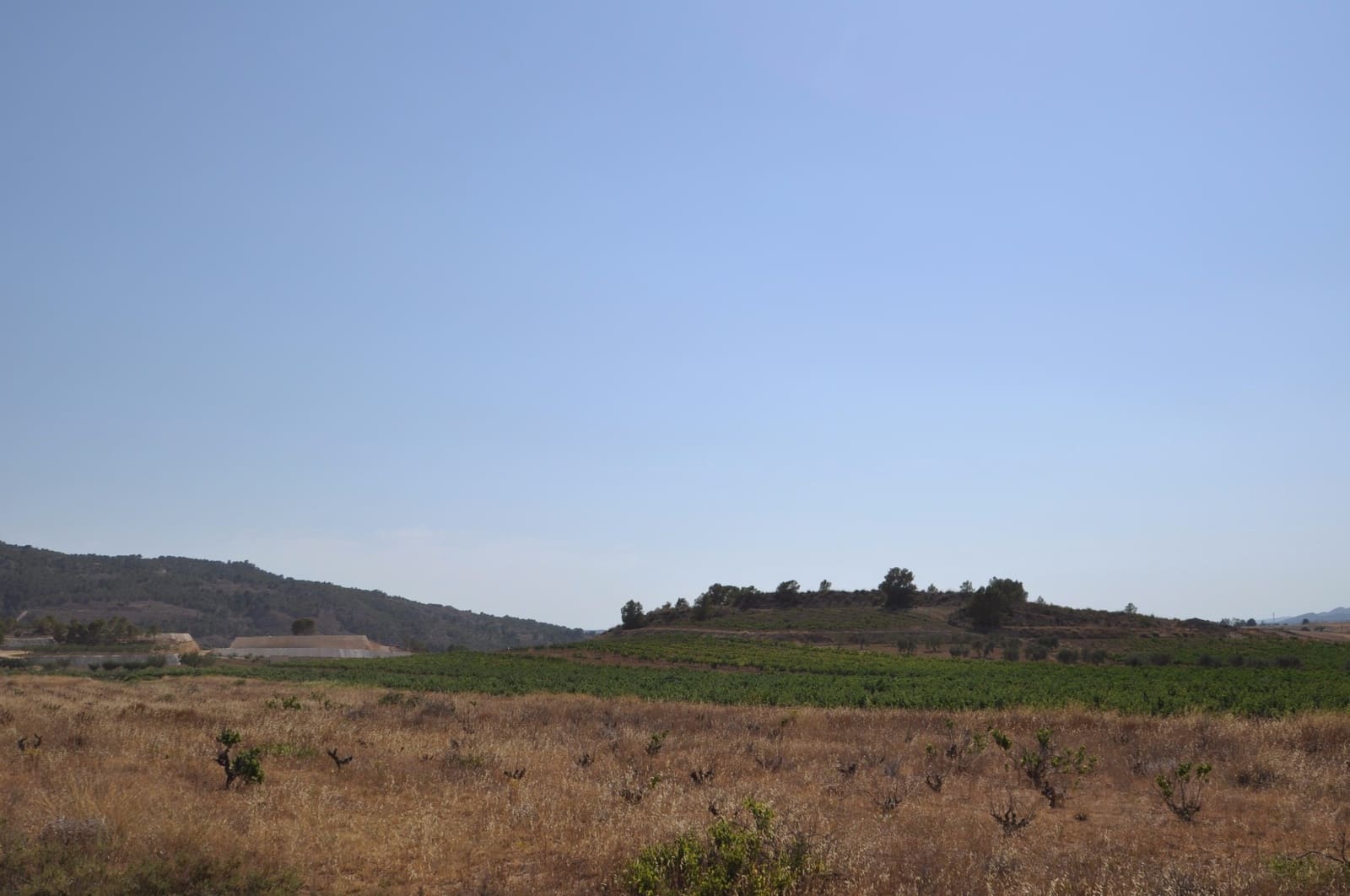 Terre non Aménagée à vendre à Pinoso - 15 995 € (Ref: 8350034)