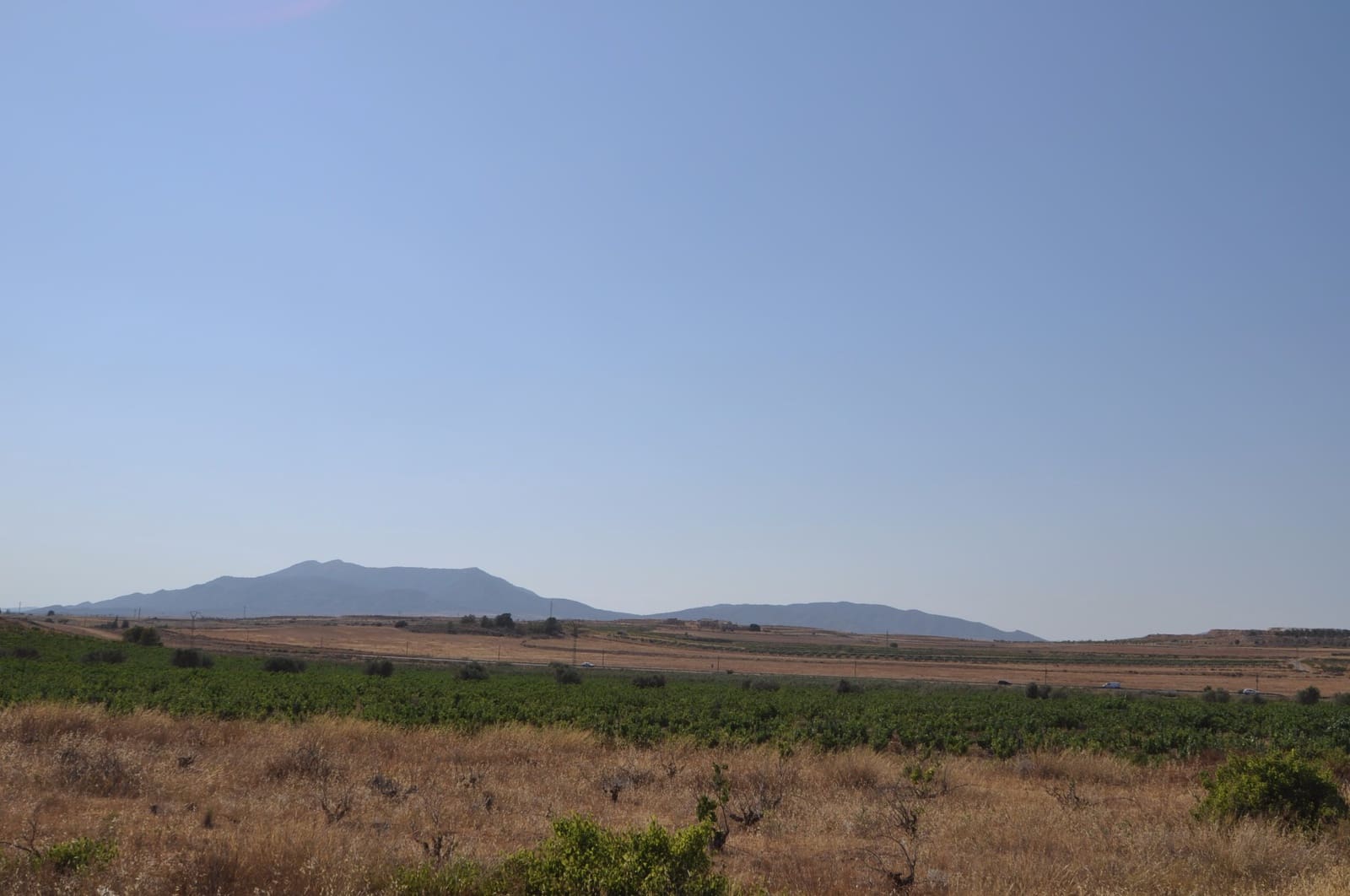 Terre non Aménagée à vendre à Pinoso - 15 995 € (Ref: 8350034)