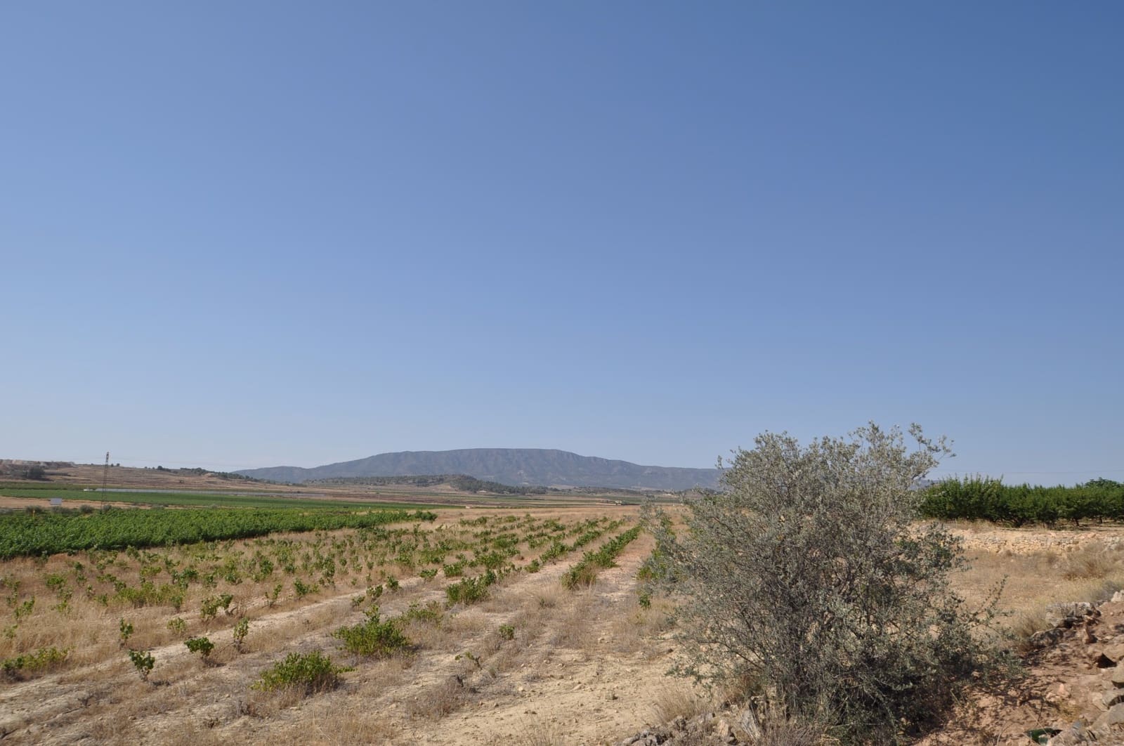 Terre non Aménagée à vendre à Pinoso - 15 995 € (Ref: 8350034)