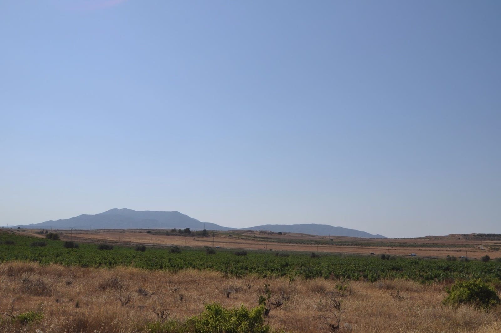 Undeveloped Land for sale in Pinoso - € 15,995 (Ref: 8350034)