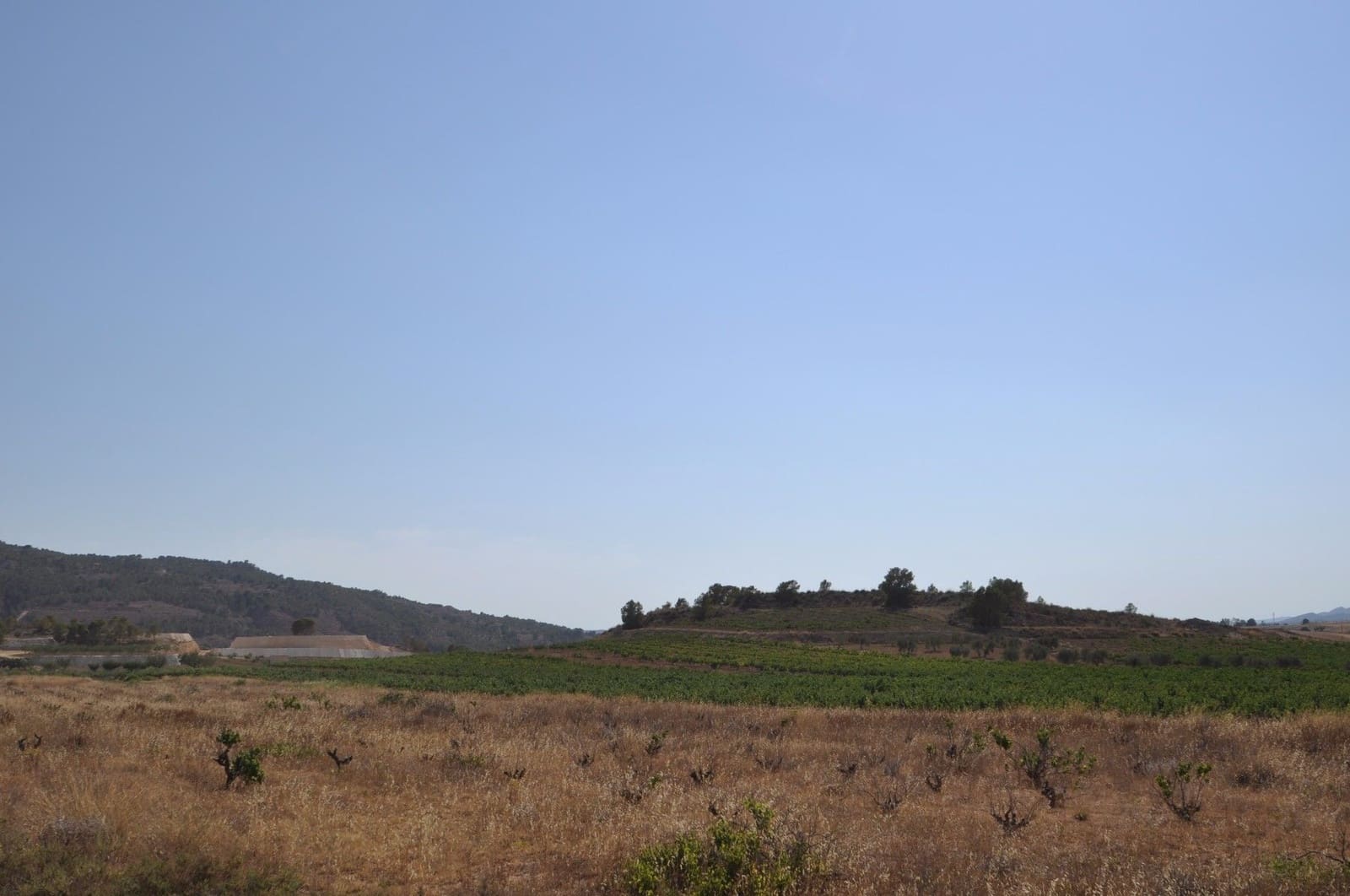 Undeveloped Land for sale in Pinoso - € 15,995 (Ref: 8350034)