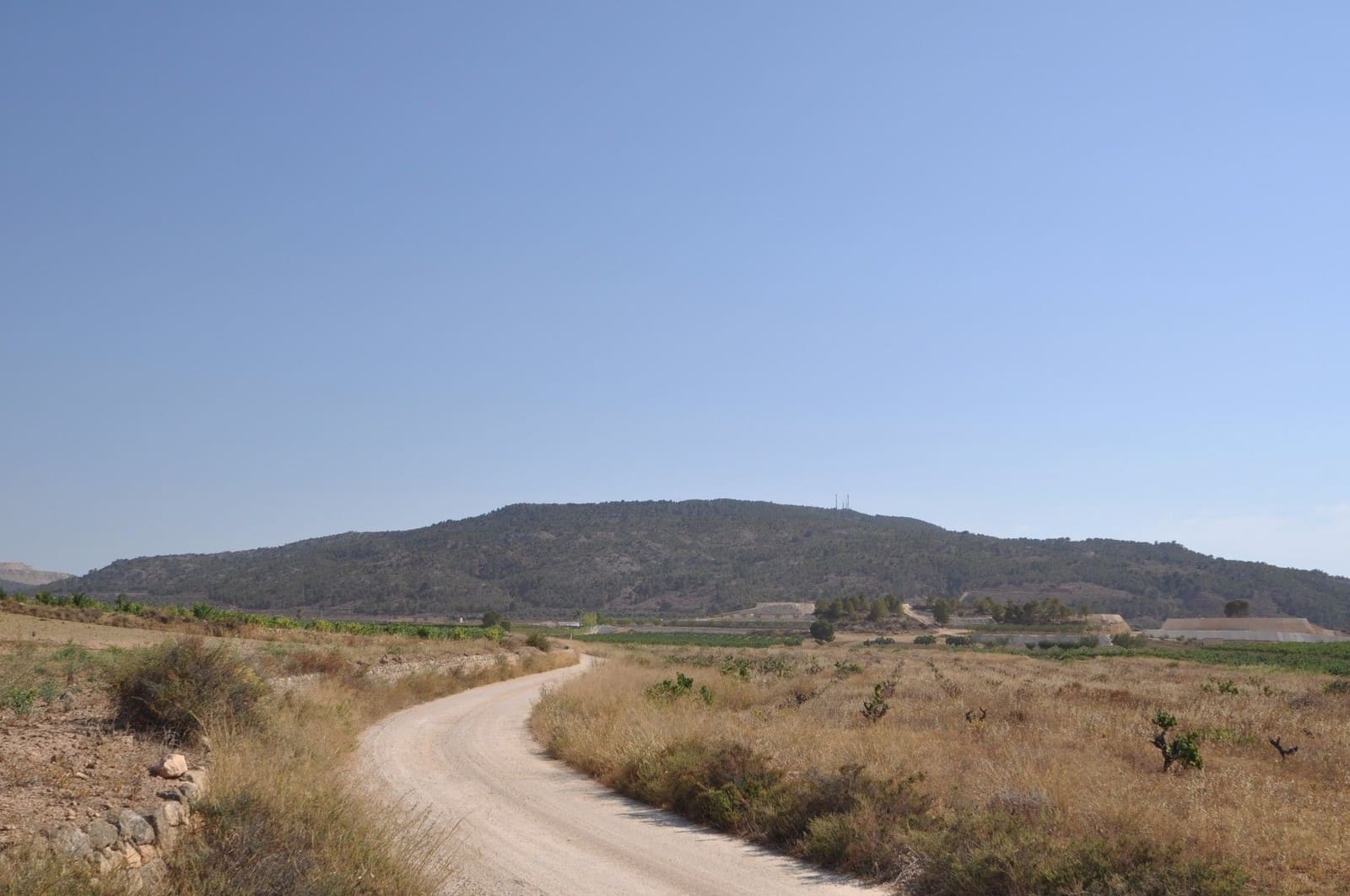 Undeveloped Land for sale in Pinoso - € 15,995 (Ref: 8350034)