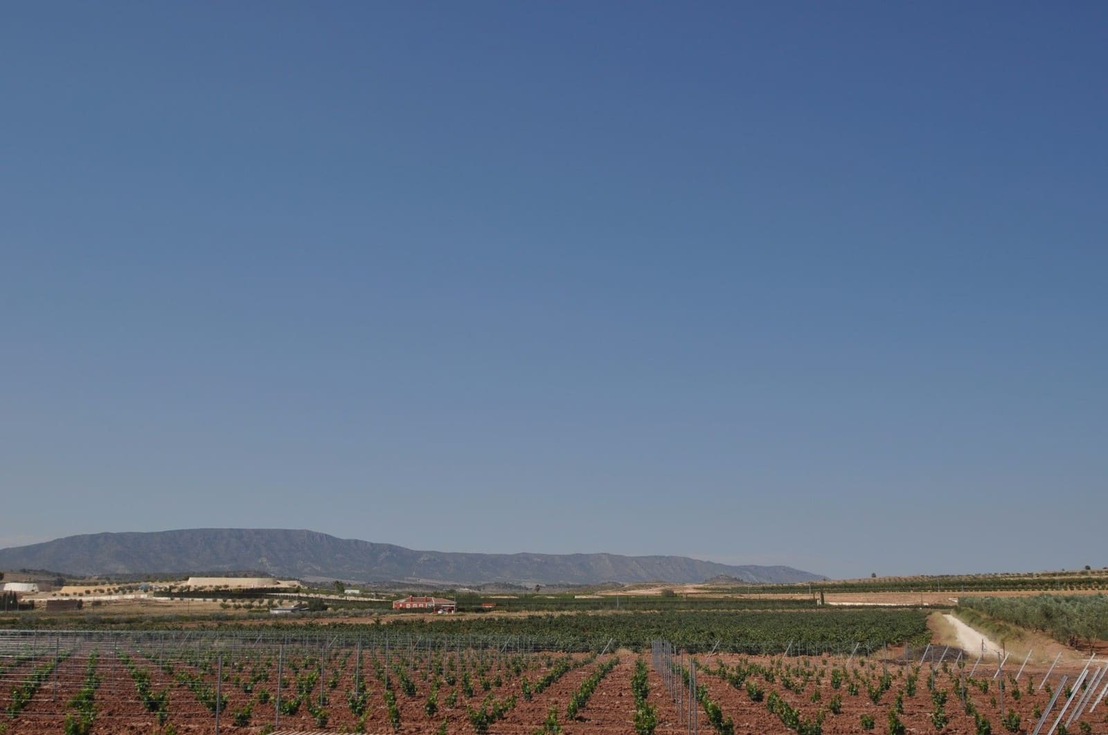 Undeveloped Land for sale in Pinoso - € 11,995 (Ref: 8350035)