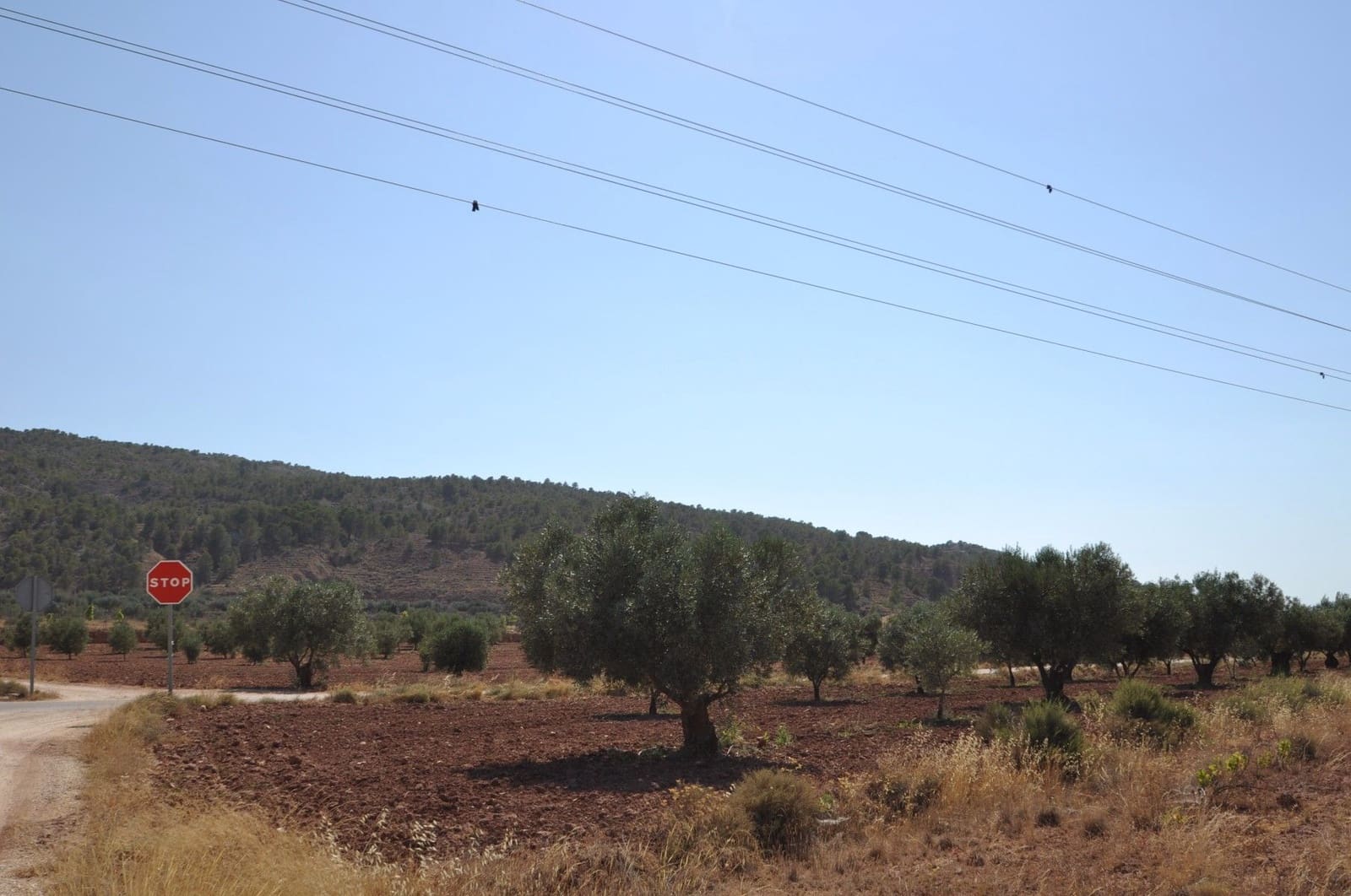 Undeveloped Land for sale in Pinoso - € 11,995 (Ref: 8350035)