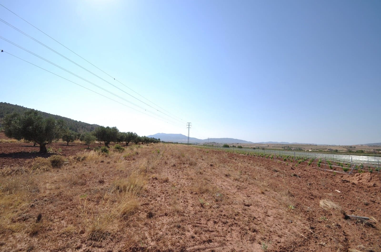 Undeveloped Land for sale in Pinoso - € 11,995 (Ref: 8350035)