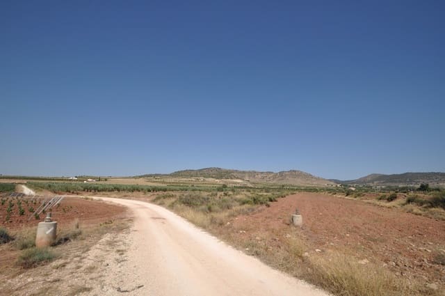 Mark till salu i Pinoso - 11 995 € (Ref: 8350035)